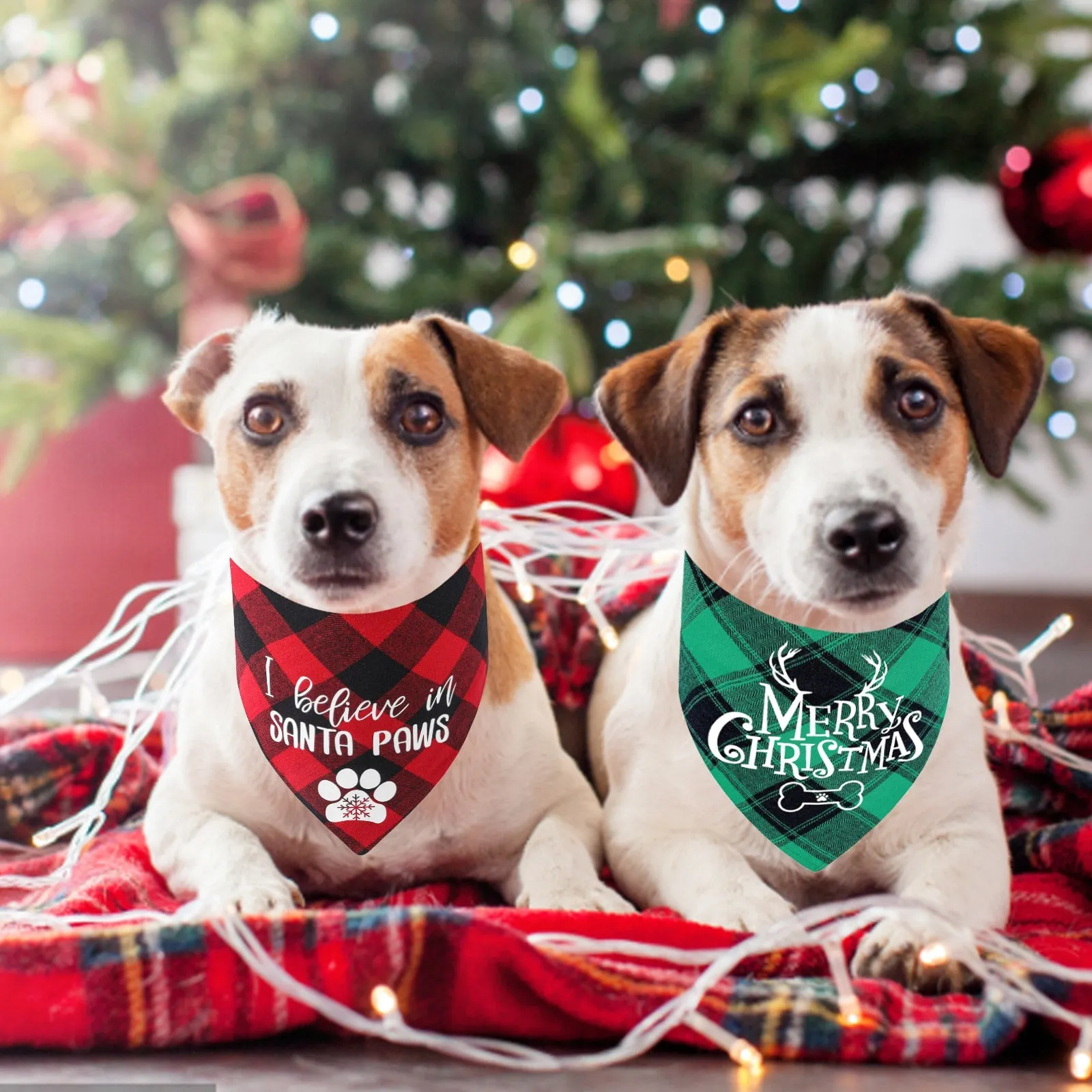 Aiitle 2 Pack Plaid Christmas Dog Bandanas