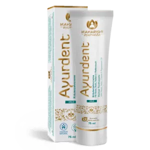 Ayurdent Mild Toothpaste, 75 ml