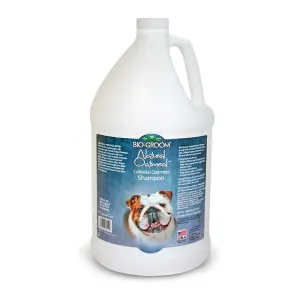 Bio-Groom Natural Oatmeal Anti-Itch Shampoo for Dogs 1G