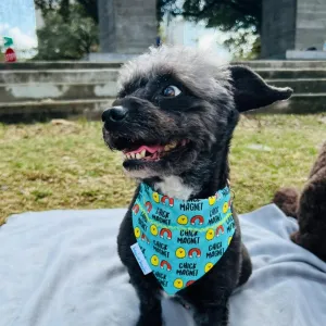 Chick Magnet Dog Bandana