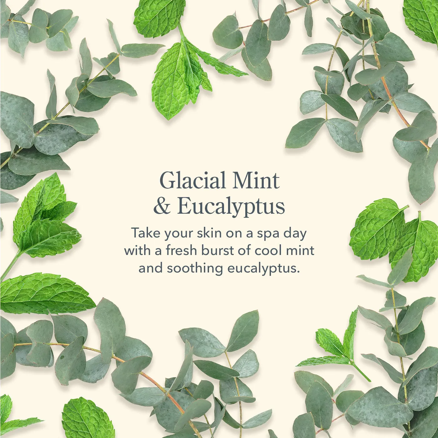 Glacial Mint & Eucalyptus Face Wipes