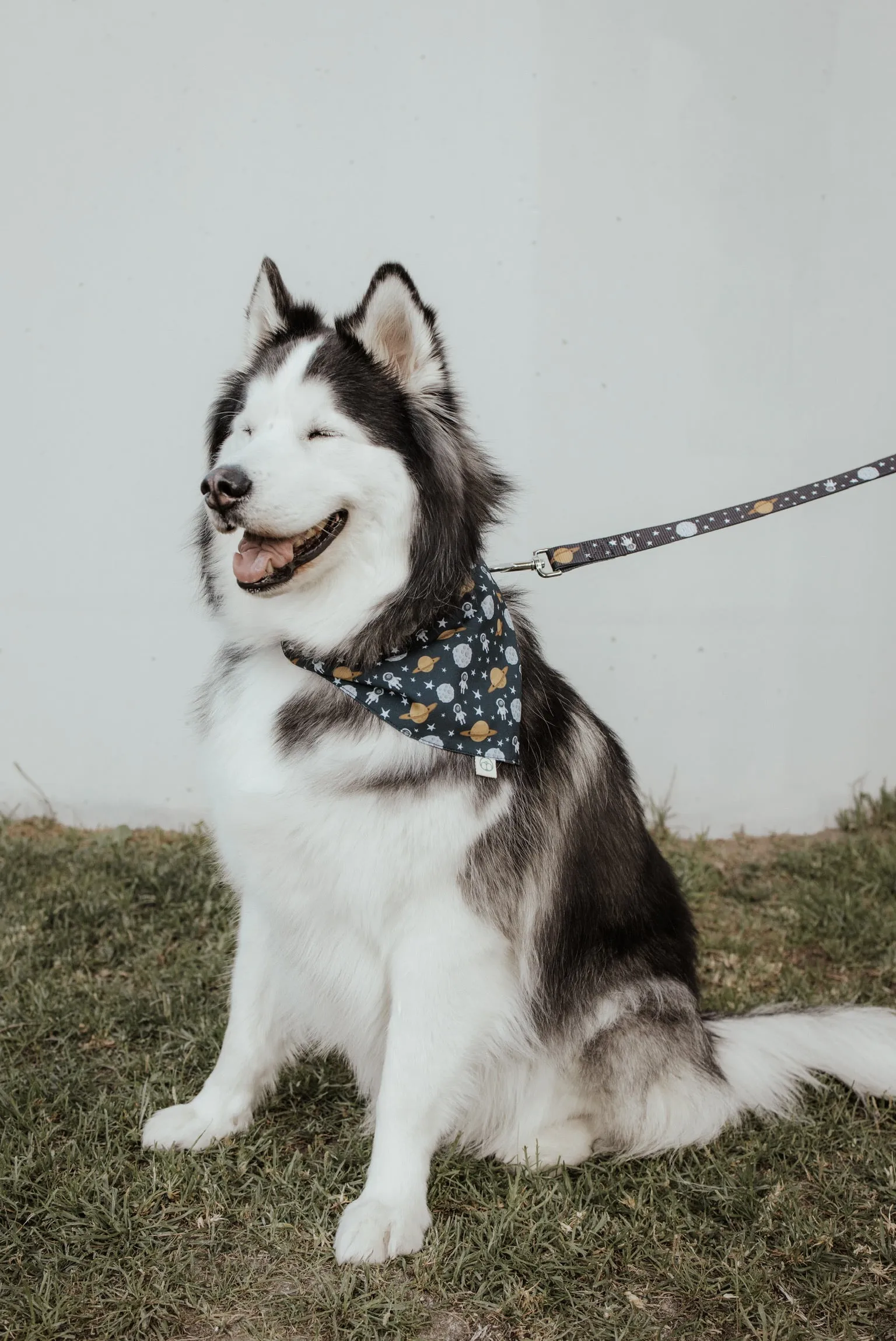 Houston Bandana