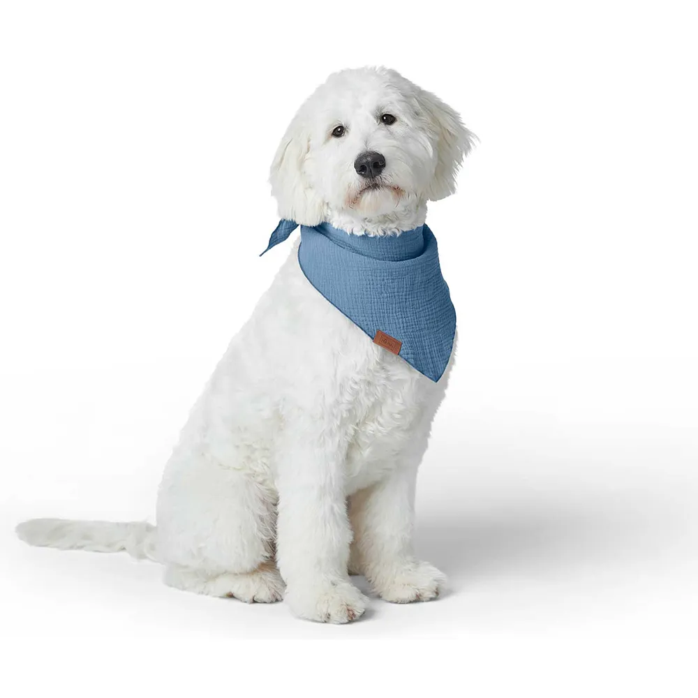 Hunter Nola Triangle Scarf for Dogs (Blue)