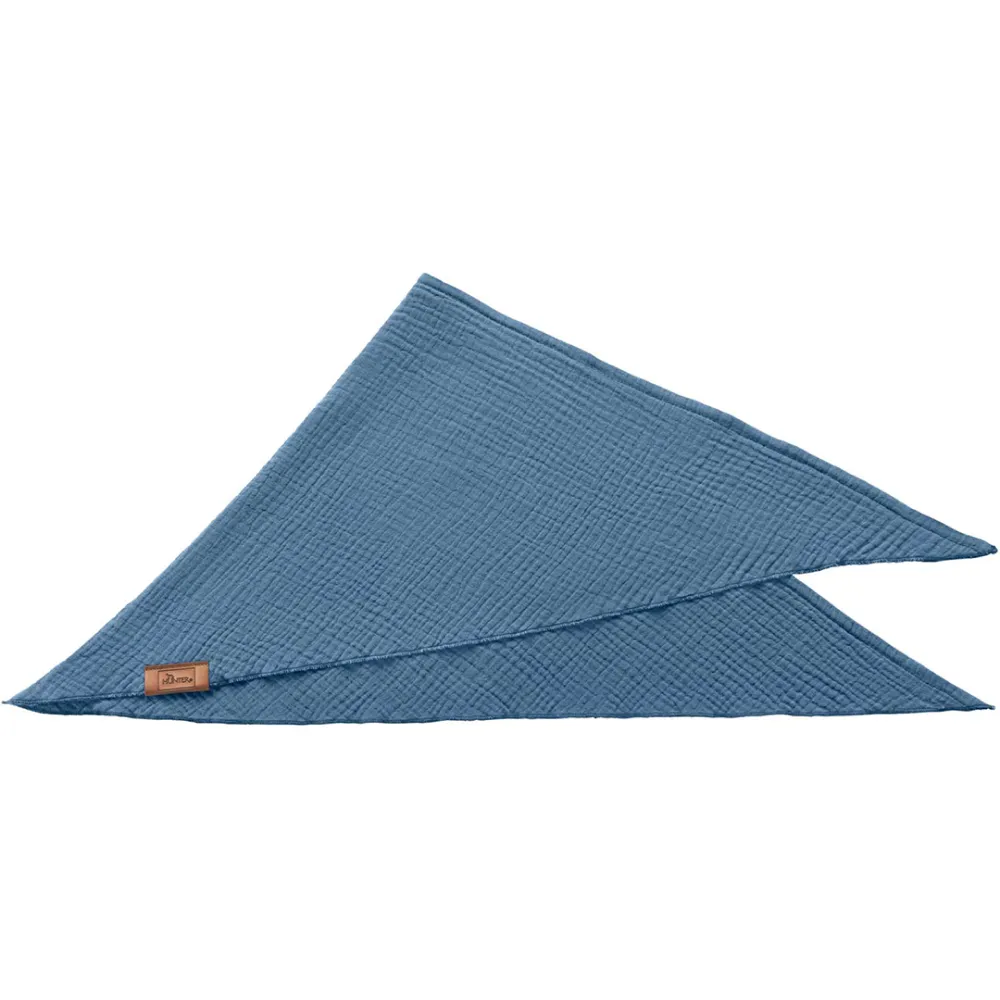 Hunter Nola Triangle Scarf for Dogs (Blue)