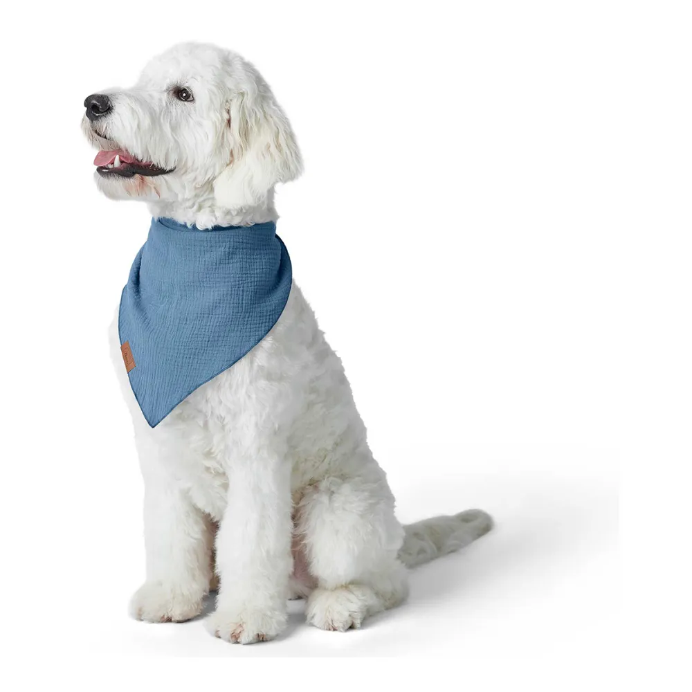 Hunter Nola Triangle Scarf for Dogs (Blue)