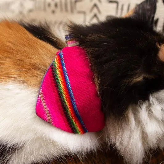 Inca Pink Cat Bandana