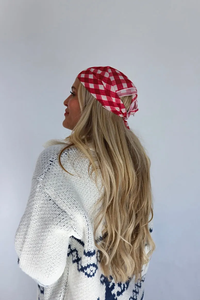 kaxi red gingham bandana