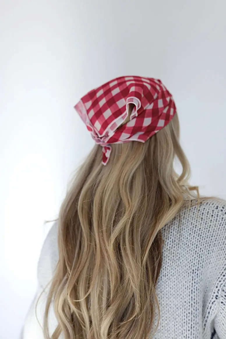 kaxi red gingham bandana