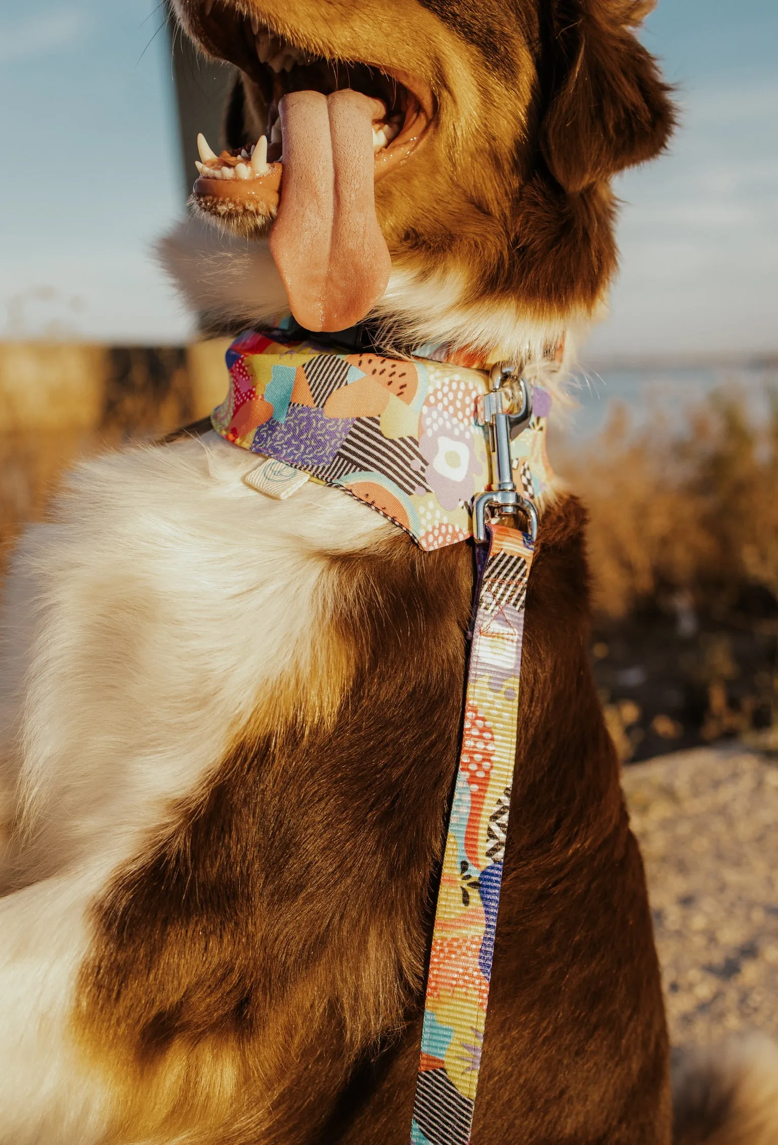 Miami Bandana