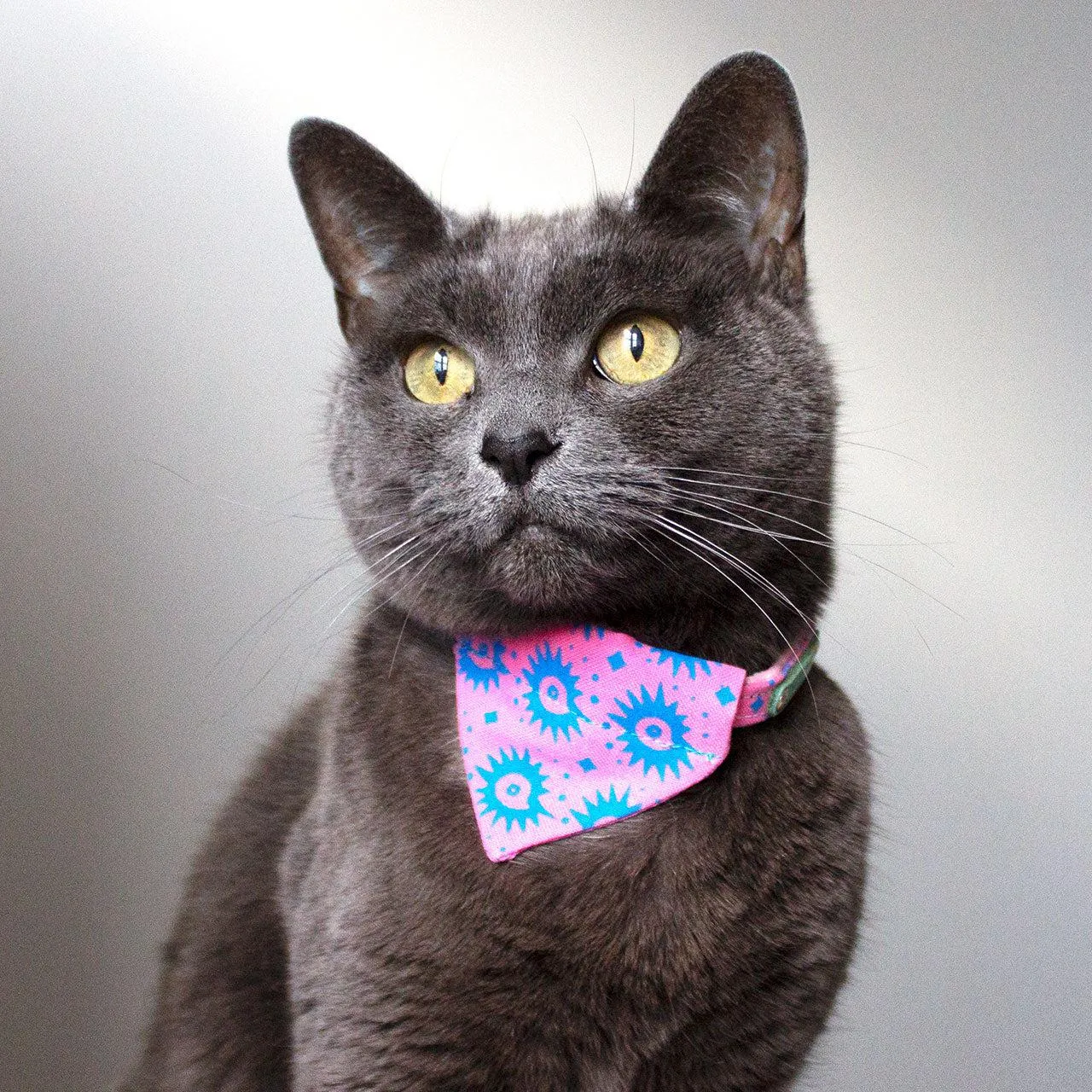 Nebula Cat Bandana