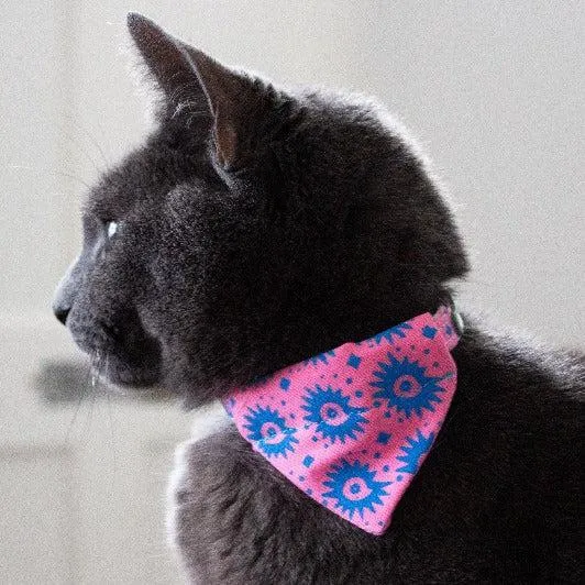 Nebula Cat Bandana