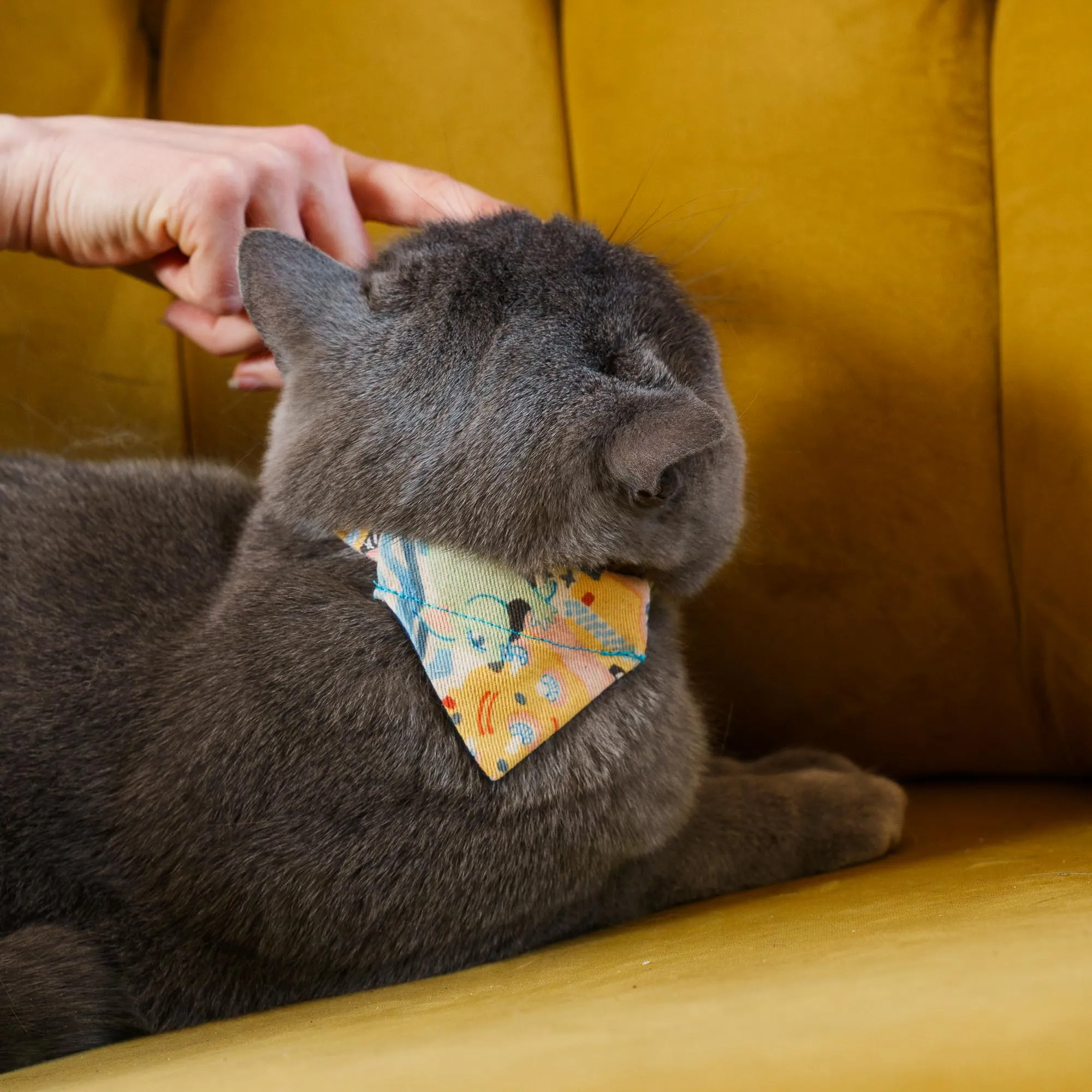 New York! New York! Cat Bandana