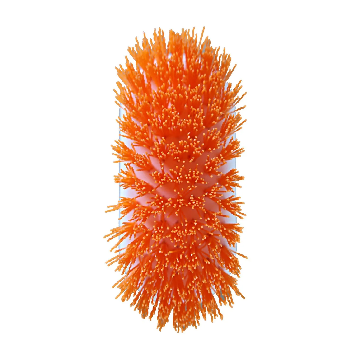 Orange Scrub Brush - All Purpose Scrubber For Tough Stain Removal