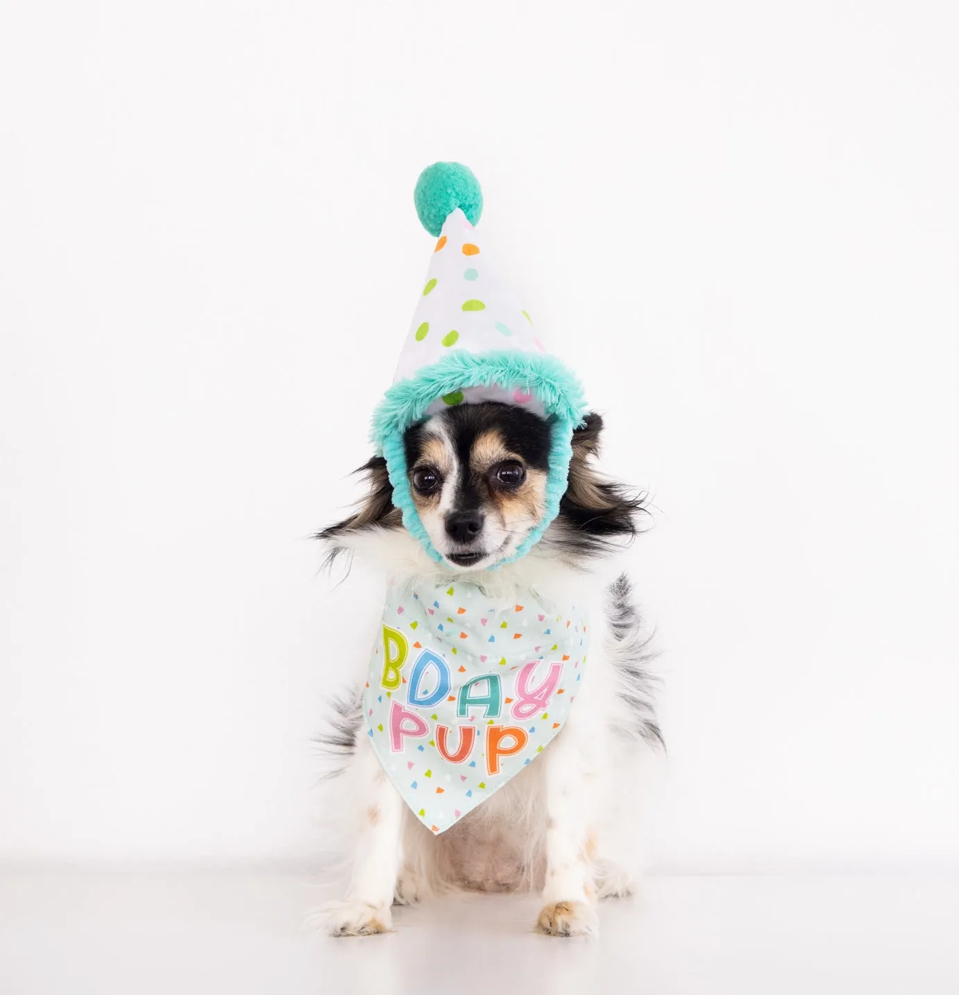 Pearhead Birthday Pup Bandana Hat Set S/M