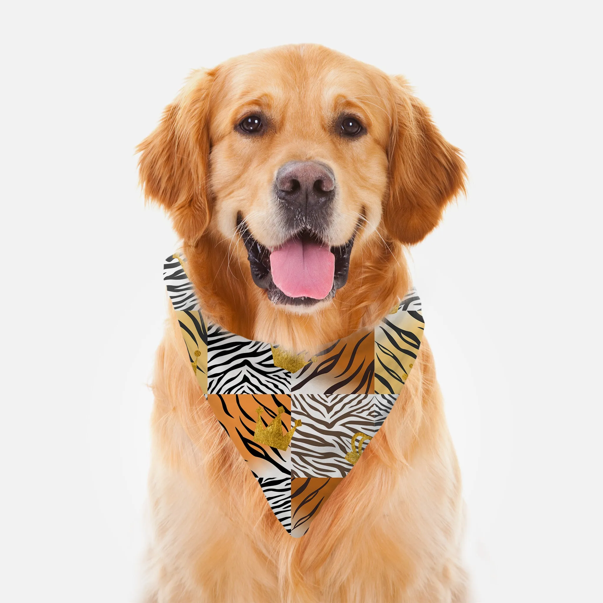 Pet Bandana: Fur-Momma & Me - Dog Or Cat