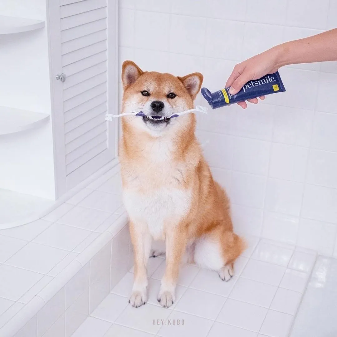 Professional Pet Toothpaste