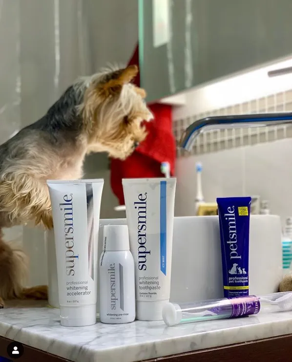 Professional Pet Toothpaste