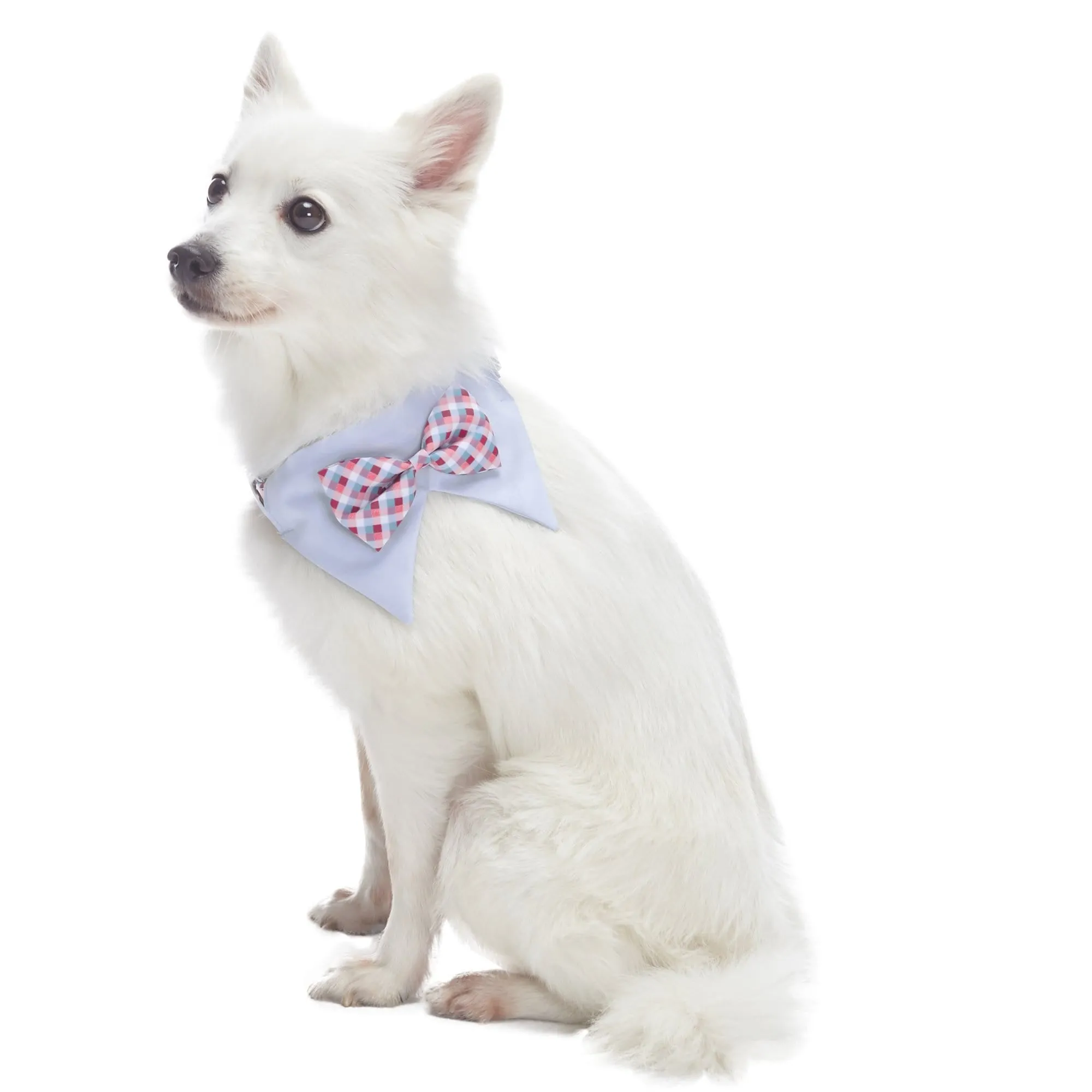 Scottish Bandana Dog Collar with Bowtie