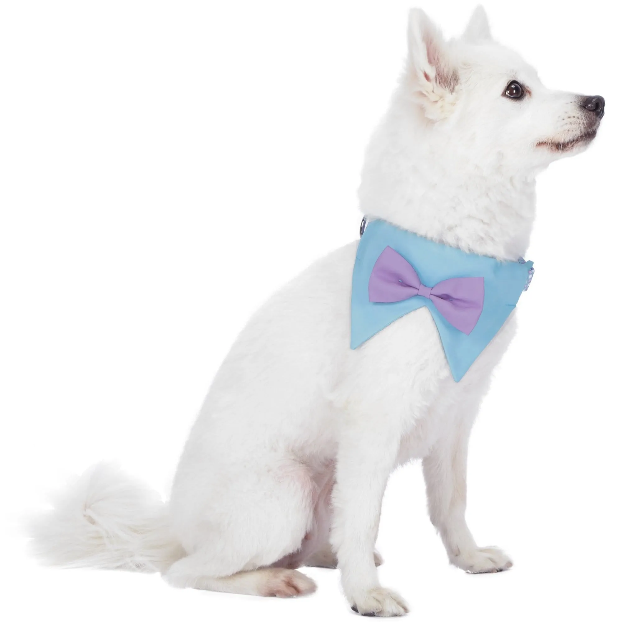 Scottish Bandana Dog Collar with Bowtie