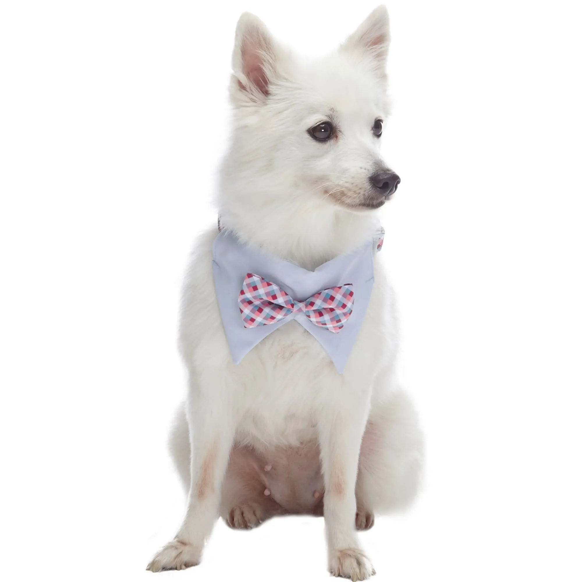 Scottish Bandana Dog Collar with Bowtie