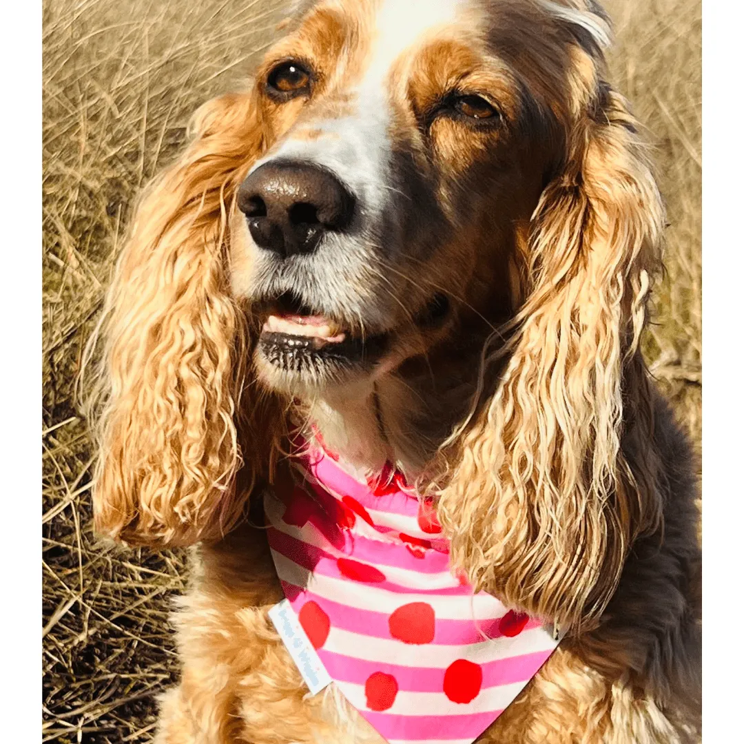 Sweetheart Stripes Valentine's Day Dog bandana - Pink & Red