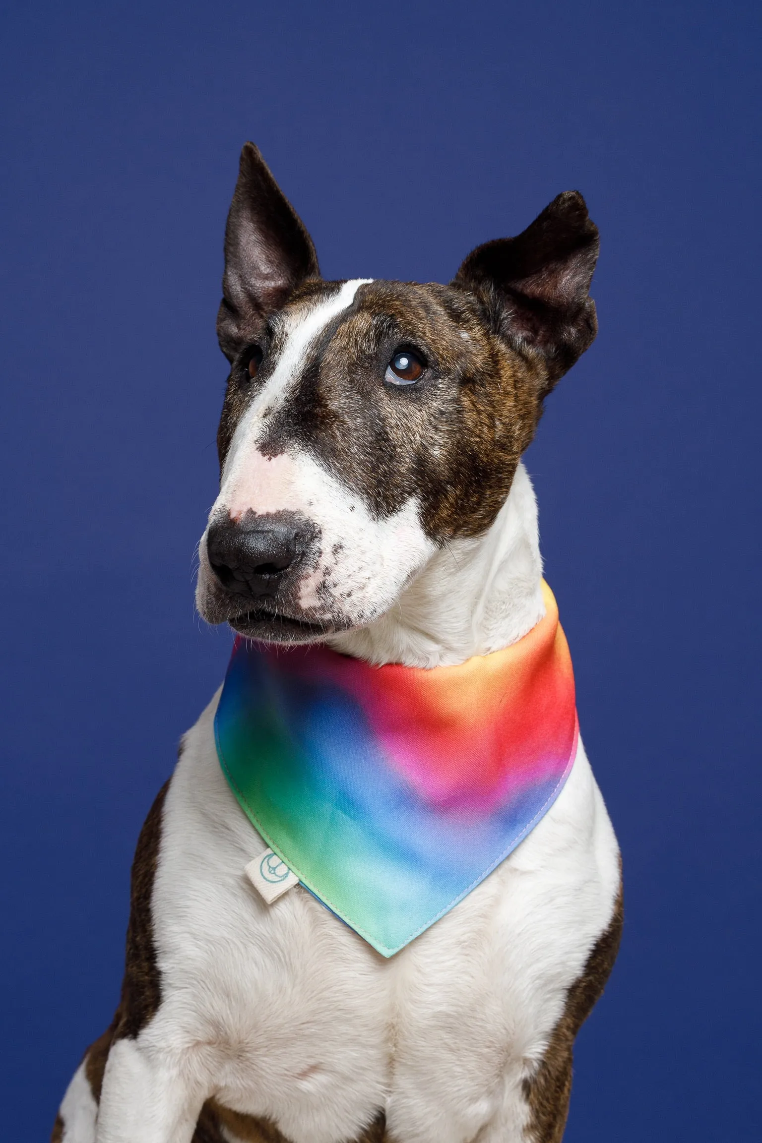 Woodstock Bandana